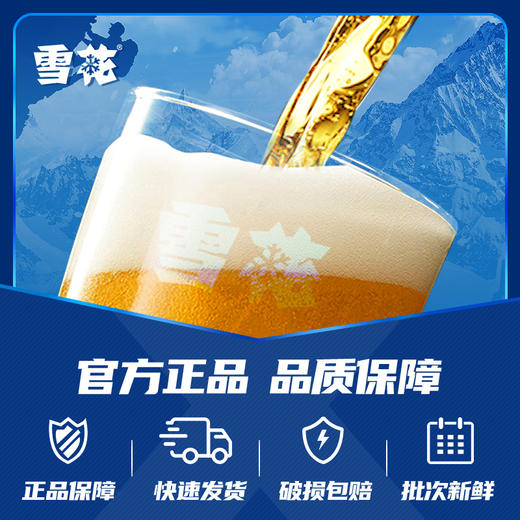 6连包雪花啤酒清爽型500m*6罐 (SNOW) 拉格啤酒麦芽酿制口味纯正夏日 商品图2