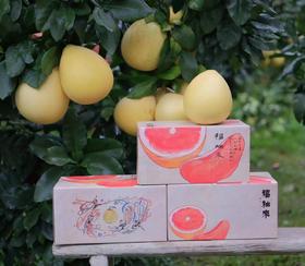 【柚里】福柚来 红心蜜柚 第十季