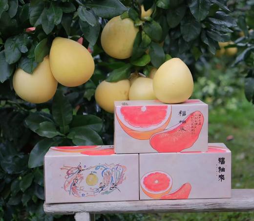 【柚里】福柚来 红心蜜柚 第十季 商品图0