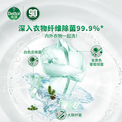 滴露 衣物除菌液1.5L 深入衣物纤维除菌 多重功效 安全配方 48小时发货 商品图5