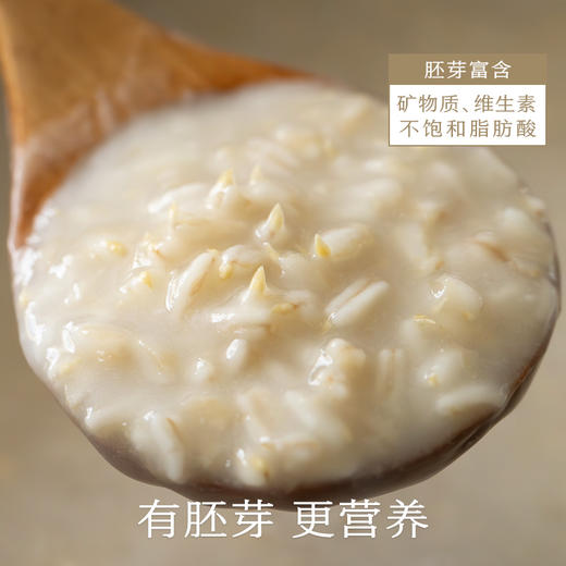 南食召 胚芽燕麦 商品图1