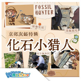 【北京】化石小猎人