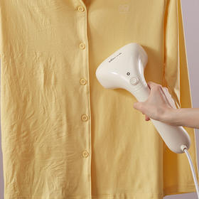 小熊（Bear） 挂烫机 120ml升级水箱 一熨即平 不锈钢面板 48小时发货