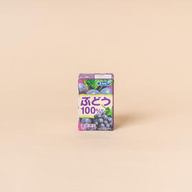 艾尔比葡萄果汁饮料 125ml
