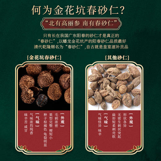阳春春砂仁  金花坑道地优选原材 春砂仁 50克罐装 商品图2