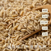 南食召 胚芽燕麦 商品缩略图3