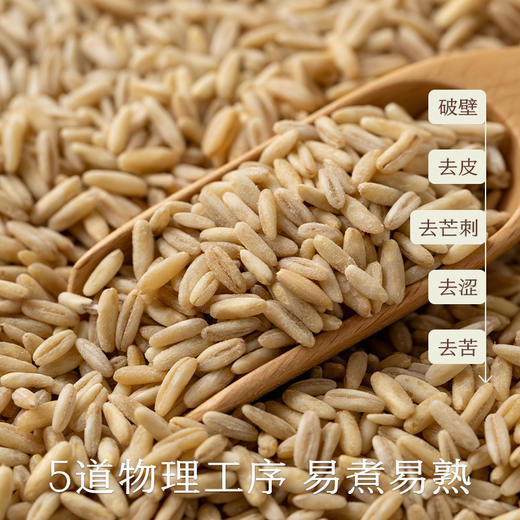 南食召 胚芽燕麦 商品图3