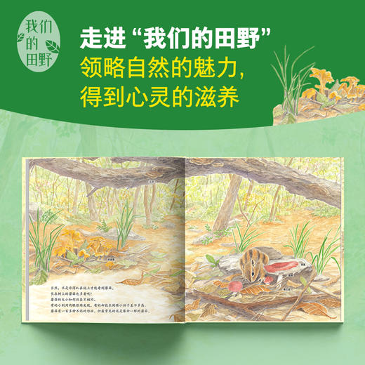 苹果树的四季 商品图3