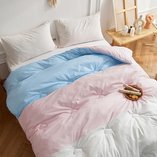 【限时秒杀】自然醒彩虹被四季被子秋冬被宿舍单人学生加厚保暖被FM（不参与优惠券） 商品图0