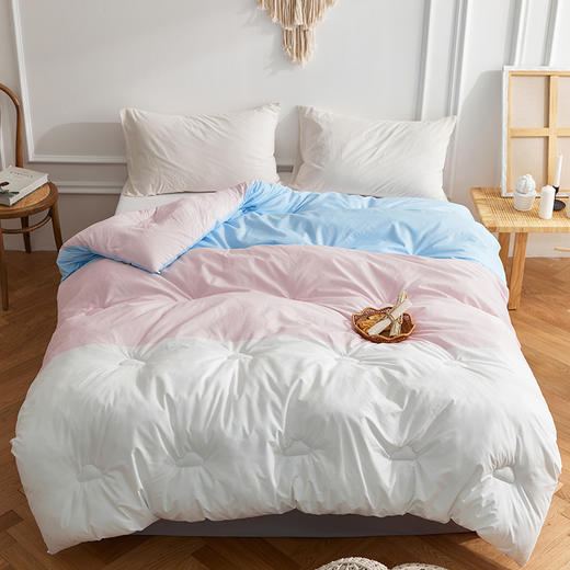 【限时秒杀】自然醒彩虹被四季被子秋冬被宿舍单人学生加厚保暖被FM（不参与优惠券） 商品图9