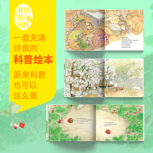 苹果树的四季 商品图4