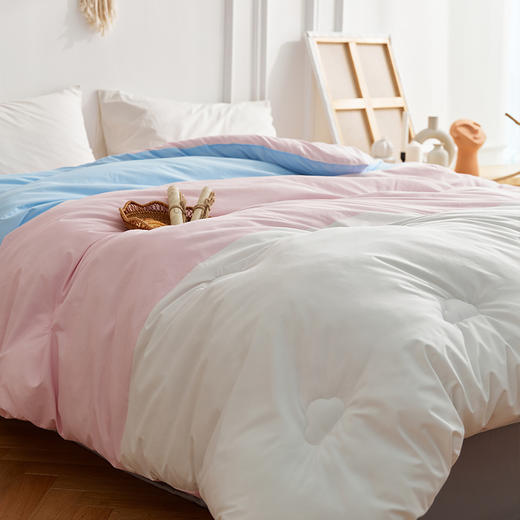 【限时秒杀】自然醒彩虹被四季被子秋冬被宿舍单人学生加厚保暖被FM（不参与优惠券） 商品图12