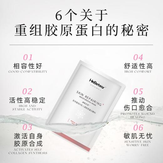 赫铂之泪/HeBetear 重组Ⅲ型胶原蛋白敷料面膜5片/盒 商品图1