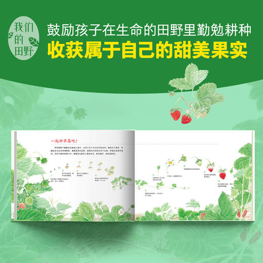 苹果树的四季 商品图2