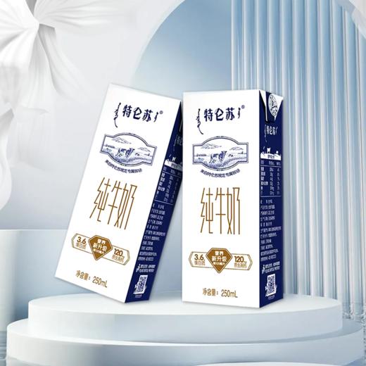 蒙牛特仑苏纯牛奶250ml*12盒整箱学生小孩早餐全脂牛奶 商品图1