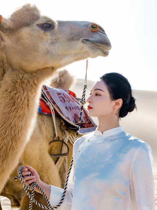 瑕疵 |盛唐牡丹| 珍珠白真丝竹子纹偏襟上衣[特价品](特殊商品不退不换) 商品图1