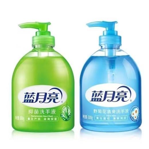 蓝月亮洗手液500g 商品图0