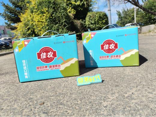 佳农椰青礼盒 商品图0