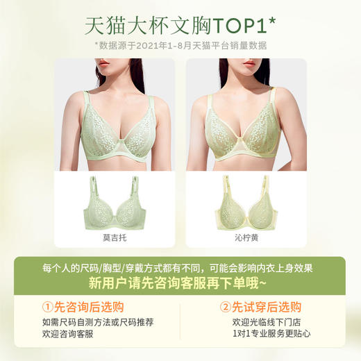 [花藤]大胸显小全罩杯超薄透气文胸性感蕾丝法式深V内衣女夏 商品图4