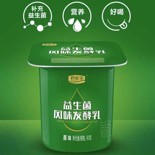 君乐宝新鲜活性 益生菌风味发酵乳 90g 商品图2