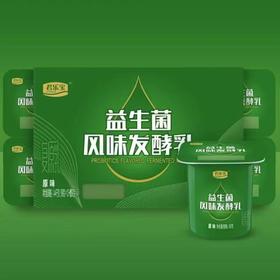 君乐宝新鲜活性 益生菌风味发酵乳 90g