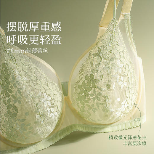[花藤]大胸显小全罩杯超薄透气文胸性感蕾丝法式深V内衣女夏 商品图1