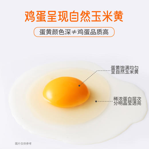 圣迪乐可生食新鲜鸡蛋40枚礼盒装 商品图3