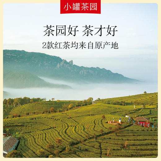 小罐茶 红茶组合茶 120g（滇红茶+花香型小种红茶）免洗茶 48小时发货 商品图2