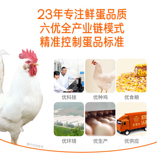 圣迪乐可生食新鲜鸡蛋40枚礼盒装 商品图4