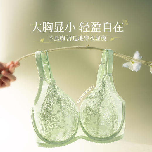 [花藤]大胸显小全罩杯超薄透气文胸性感蕾丝法式深V内衣女夏 商品图3