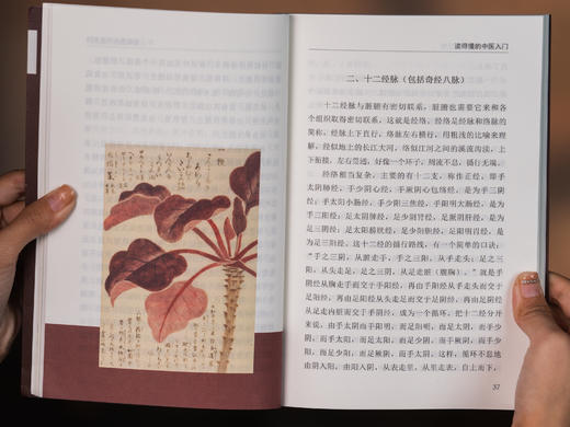 《写给中国人的中医三书》全3册 | 国学大师南怀瑾的长寿秘诀，全面、好读、易理解，人人都能读懂的中医宝典 商品图12