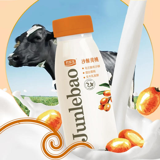 君乐宝沙棘黄桃280ml低温营养酸奶饮品生牛乳发酵乌兰察布沙棘 商品图3
