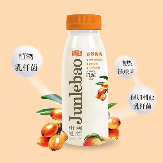 君乐宝沙棘黄桃280ml低温营养酸奶饮品生牛乳发酵乌兰察布沙棘 商品图2