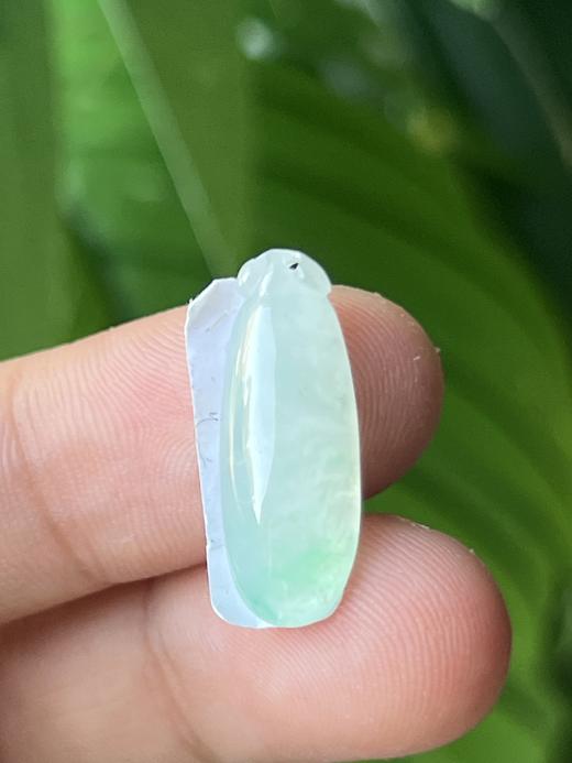 【直播大场福利】冰绿 白冰翡翠小精品 天然翡翠 吊坠 附证书 商品图7