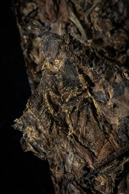 福金花·紧压金花白茶2019·金砖460g 商品图5