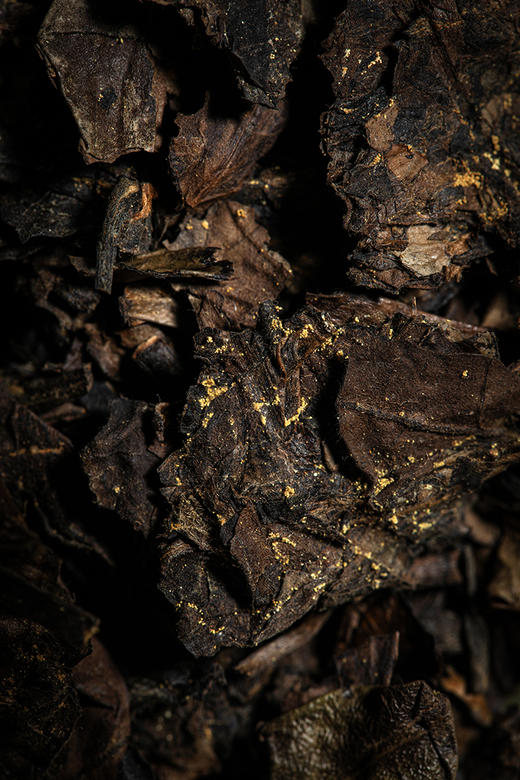 福金花·撬片紧压金花2019·金冠126(6g*21) 商品图4