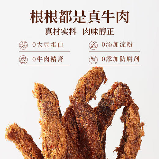 太丰原切牛肉条100g五香味/香辣味 手撕牛肉干 商品图2