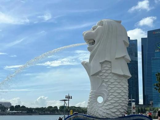 【境外】新加坡一定定制6天5晚 商品图0