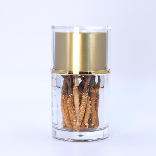 正安溯源·冻干野生冬虫夏草  专业甄选 品质追求【不可用券】 商品图2