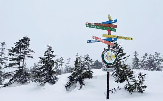 【春节出发】日本新泻苗场 6日5晚 | 品牌酒店，滑进滑出 商品图3