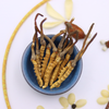 正安溯源·冻干野生冬虫夏草  专业甄选 品质追求【不可用券】 商品缩略图3