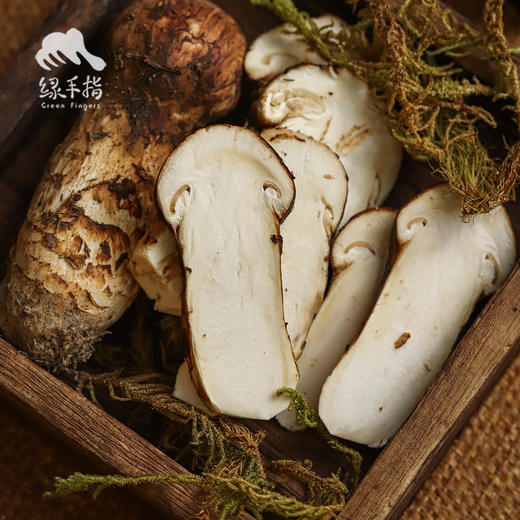 野生塔城松茸| 合作生产 * Wild Tacheng matsutake | Partner Production 商品图3