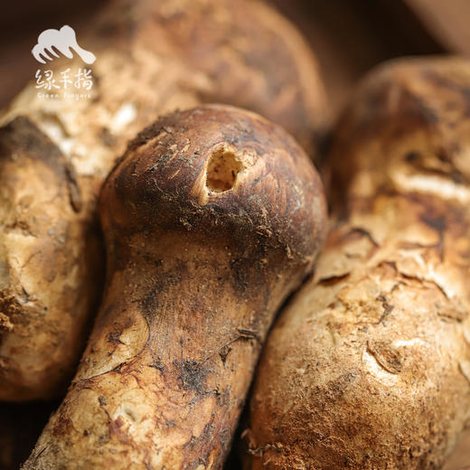 野生塔城松茸| 合作生产 * Wild Tacheng matsutake | Partner Production 商品图2