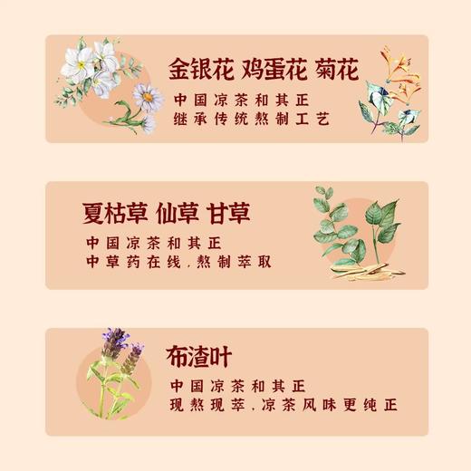 和其正凉茶 550ml*15瓶/件 商品图2