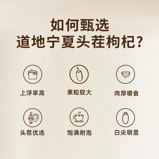 沃福百瑞 枸杞子 宁夏特级500g枸杞泡茶正宗大颗粒拍1发2罐 商品图3