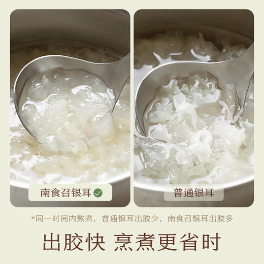 南食召 免撕银耳 商品图1