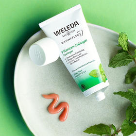 【品牌旗舰】WELEDA维蕾德  综合植物牙膏75ml 有机 无氟