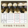南食召 免撕银耳 商品缩略图3