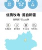 新疆天润喀拉峻手工酸奶300g大杯装 0蔗糖 厂家直供新疆直发 商品缩略图3