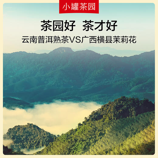 小罐茶园 茉莉熟普64克(4克x16) 花香茶韵 入口飘香 自饮送礼优选 48小时发货 商品图5